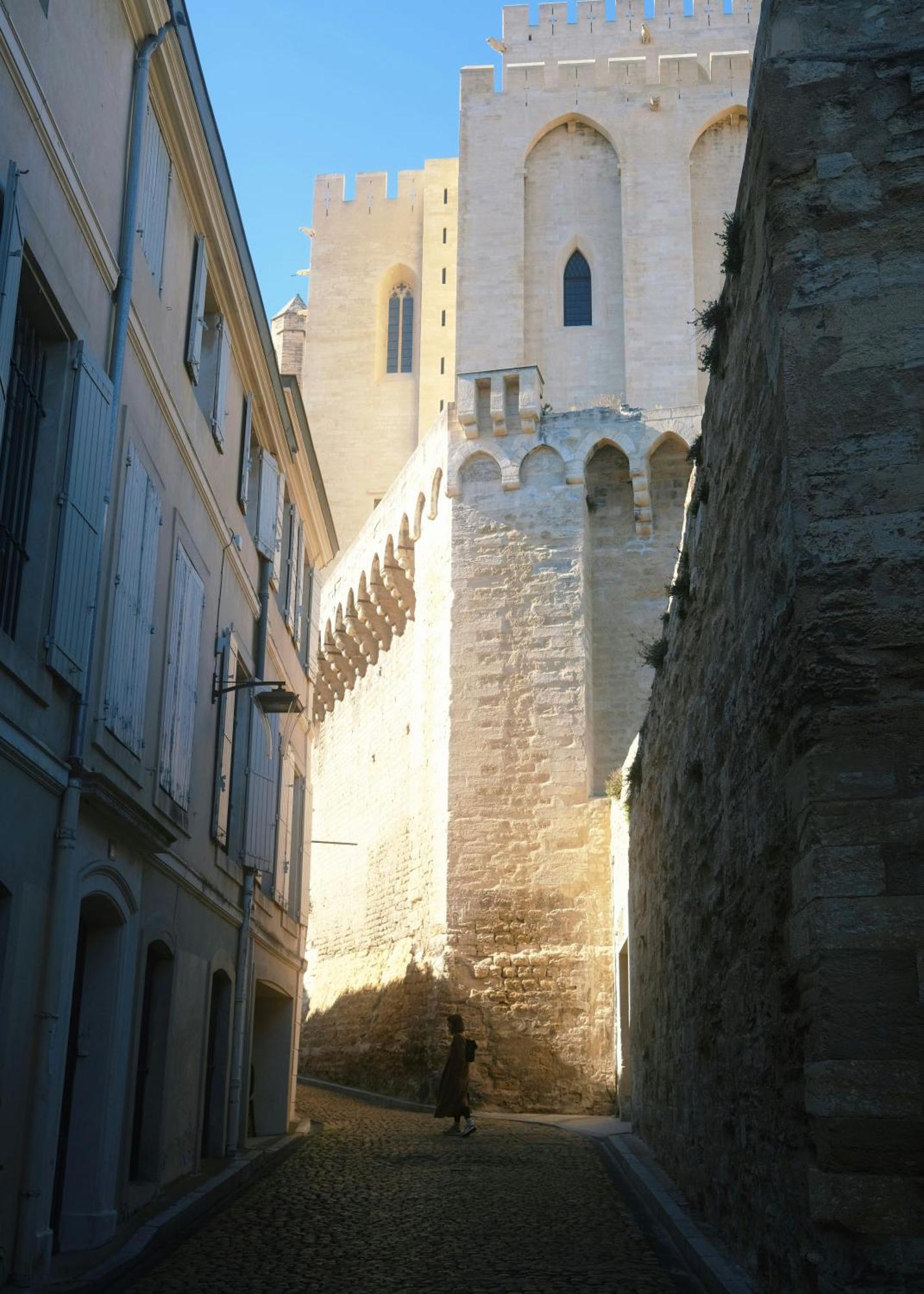Le Petit Avignon - Chambres & Appartement A Deux Pas Du Pont D'Avignon Et Du Palais Des Papes Extérieur photo